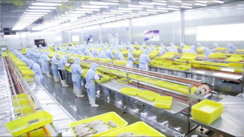 拼多多 商家權(quán)益保護委員會 推出惠商新舉措,新質(zhì)供給助外貿(mào)工廠成功轉(zhuǎn)內(nèi)銷