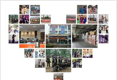 8G黃、8G熒光黃、5#綠、熒光黃8G等塑料熒光顏料 鞍山七彩惠豐標準詳解及市場采購指南